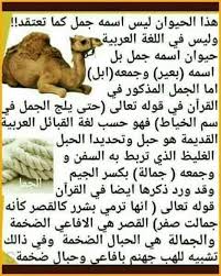 Pin By Asmaasouma On صور Quran Verses Quran Quotes Learn Arabic Language