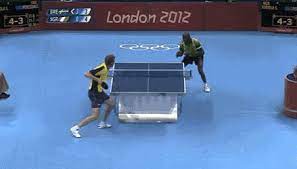 Joanna krupa flashed her dog. Best Olimpic Gifs Gfycat