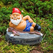 Pin By Olivia Ritchy On Defrost Fest Funny Garden Gnomes Garden Gnomes Statue Gnome Statues