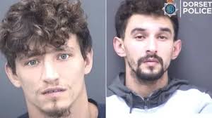 New Forest Council leader resigns after scrap yard conviction