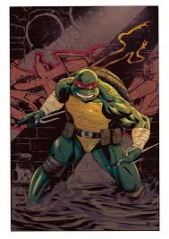 Teenage Mutant Ninja Turtles The Idw Collection Volume 13 Behance For You Movies And Tv Ninja Turtles Art Ninja Turtles Teenage Mutant Ninja Turtles