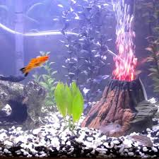 Maybe you would like to learn more about one of these? Bubbler Aquarium Ornament Large Aquarium Volcano Top Fin Volcano Bubbler Fish Tank Bubbler Finding Nemo Fish Tank Fish Tank Deco Living Room Sets Aliexpress