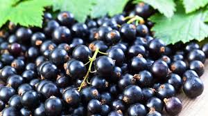 For a tasty and healthy dessert, you can include black currant as an ingredient in your pies. Sweet And Savoury Seasonal Blackcurrant Recipes Tefal Blog Food Cooking