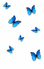 Butterfly Emoji Wallpapers Top Free Butterfly Emoji Backgrounds Wallpaperaccess