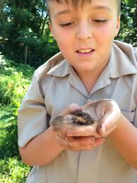NATURE AND BIODIVERSITY