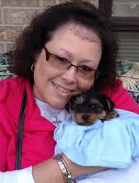 A Yorkie who went missing 5 years ago was found living at a frat house 300  miles away. Kingston was separated from his family in Louisiana in 2020.  His owner Debbie LaFleur