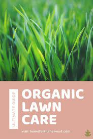 Lawn Care The Basics Of Lawn Residential Lawn Maintenance For Homeowners Organic Lawn Organic Lawn Care Lawn Maintenance