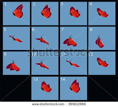 Animation Of Flaing Butterfly Flip Book Animation Animation Reference Animation Tutorial