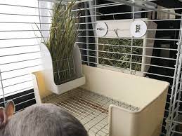 うさぎは トイレを覚えるとよく言われます しかし ウンチ 糞 のしつけ がなかなかうまくいかない 何とかならないの と悩んでいらっしゃる飼い主さんは意外と多いのではないでしょうか 今回は 糞をどこにでもしてしまううさぎに トイレを覚えさせる方法をご紹介し