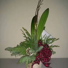 Favorite places to eat in franklin tn. Garden Delights 32 Photos 13 Reviews Florists 2179 Hillsboro Rd Franklin Tn Phone Number Products Yelp