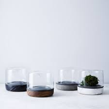 Moss Terrarium Moss Terrarium Terrarium Plastic Spray Bottle