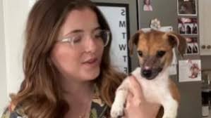 Jean-Luc Reichmann est en deuil, l'animateur annonce le décès de sa chienne  Donna qui "s'est merveilleusement battue" contre la maladie