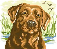 White aida using dmc floss. Kooler Design Studio Labrador Big Stitch Cross Stitch Pattern 123stitch