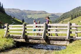Das wandern und bergsteigen steht im sommer im touristischen mittelpunkt von hüttschlag. Sommerurlaub In Wald Im Pinzgau Im Land Salzburg