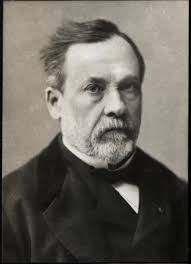 19th Century Print of Louis Pasteur. Art Prints, Posters & Puzzles from  Fine Art Finder