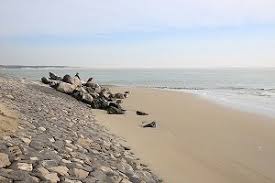 Berck plage vacances été 2021cheques vacances acceptés. Plages Berck 62 Station Balneaire De Berck Pas De Calais Nord Pas De Calais Avis Photos Plages Tv