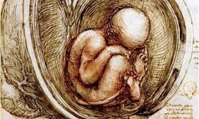 Art baby in womb drawing. One Step Closer To The Artificial Womb Healthcare In Europe Com