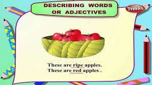 Positive and negative adjectives to describe people. Describing Words Adjectives Learn English Speaking Learn English Grammar English Conversations Youtube