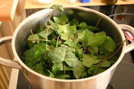 Lessive Maison Le Lierre Les Tricots De Soso Feuille De Lierre Lessive Faire Ses Produits Menagers