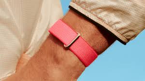 fitbit air