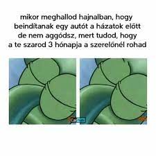 Explore and share the best hungary memes and most popular memes here at memes.com. Car Memes Hungary Home Facebook
