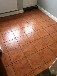 The tile looked beautiful when it was laid, until the grout! Refreshing A Procelain Tiled Utility Room Used By Dogs Porcelain Tile Cleaning And Maintenance