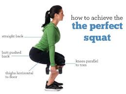 The Anatomy Of A Perfect Squat Workout Apps Exercise Perfect Squat