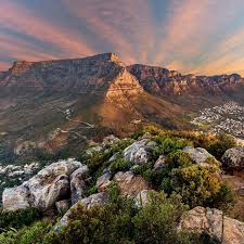 Table Mountain In Cape Town South Africa Is Home To The Richest Yet Smallest Floral Kingdom On Earth Table Mountain Wonders Of The World Cape Town South Africa