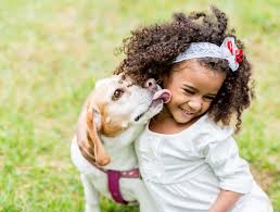 Check spelling or type a new query. 10 Things You Need To Know Before Getting A Dog