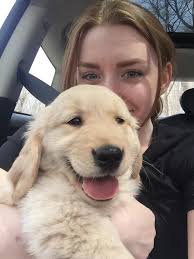 Bowie is enjoying the plethora of toys available at his medical foster home.