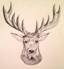 Maybe you would like to learn more about one of these? Christmas Drawings Reindeer Realistic Novocom Top