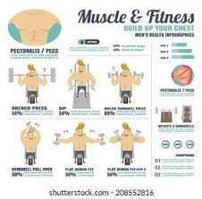 Musclefitnessbuild Your Chest Stock Vector (Royalty Free) 208552816 |  Shutterstock