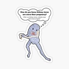 The development of the stones is related to decreased urine. Kidney Pun Gifts Merchandise Redbubble