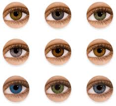 Prescription Coloured Contact Lenses Specsavers Opticas Spain