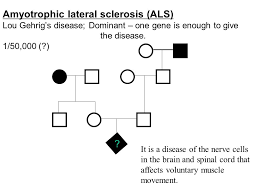 Pedigrees Visual Maps For Chromosome Inheritance Ppt Download