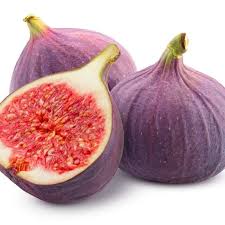 Image result for Friesodielsia obovata