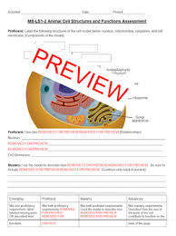 Plant cells have three organelles not found in animal cells. Cell Structure And Function Color And Label Worksheets Teaching Resources Tpt