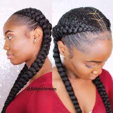 50 Really Working Protective Styles To Restore Your Hair Hair Adviser Braided Hairstyles Two Braid Hairstyles Cool Braid Hairstyles