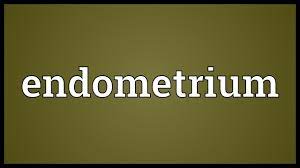 Endometriosis is an often painful condition that can cause heavy periods, abdominal pain, and difficulty becoming pregnant. Endometrium Meaning Youtube