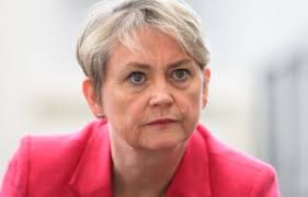 Tom Daley's husband Dustin Lance Black wrongly accused of shoplifting and  searched at Woolworths during Australia trip