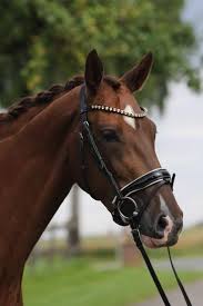 If you add incorrect data. Aktuelles News