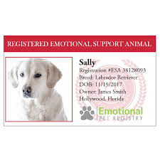 Emotional Support Animal Registration Emotional Support Animal Emotional Support Animal Registration Emotions