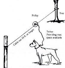 Unchain Your Dog Org Install A Dog Trolley Dog Run Dog Cable Dog Trolley Dog Camping Dog Zip Line