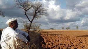 These protests have prompted a flurry of misinformation online, shared by politicians from across party lines, and by. Maha Farmers Children To Observe Fast On Independence Day