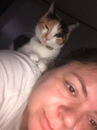 Lost cat in Albertville area near section line rd and Rock store