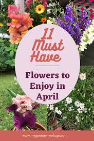 11 Care Free Blooms For Your April Garden In 2020 Spring Blooming Flowers Easy To Grow Flowers Bloom
