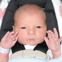 New Editions to JTRs Colorful Family