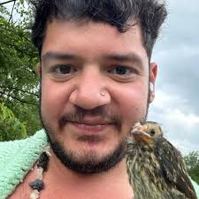 Volume of 2.5 cubes before or after displacement?