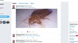 Get directions, reviews and information for procon overland park pest control in overland park, ks. Home Sos Pest Control