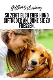 So Lasst Euer Hund Jeden Giftkoder Liegen Werbung Hundekind Abby Hundeblog Hunde Hunde Erziehen Gesunde Hunde